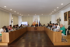 Ple ordinari del 26 de setembre de 2024