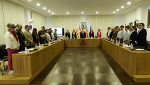 Minuto de silencio en el Pleno por las vctimas de la DANA