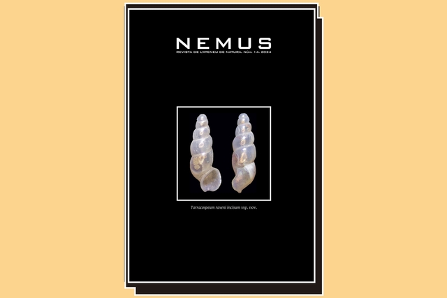 Vila-real acull la presentaci de l'edici nmero 14 de la revista cientfica 'Nemus'