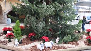 Jardn efmero instalado en el rbol de Navidad de la plaza de la Vila