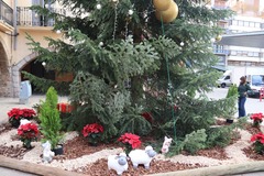 Instalacin del rbol de Navidad, el jardn efmero y el Nacimiento en la plaza de la Vila.