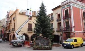 Instalacin del rbol de Navidad, el jardn efmero y el Nacimiento en la plaza de la Vila._2