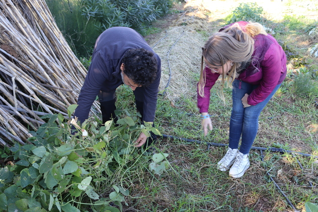 Jornada de Puertas Abiertas en los Huertos Urbanos de Vila-real