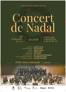 Concert de NADAL a l'esglsia Major