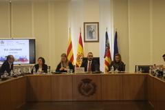 Ple del 19 de desembre de 2024_1