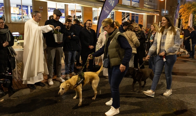 Matx de Sant Antoni _5