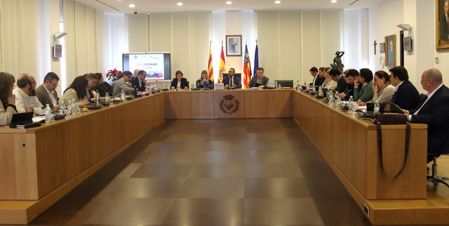 Pleno ordinario del 30 de enero de 2025