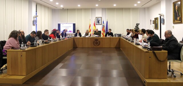 Ple extraordinari del 3 de febrer de 2025