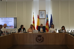 Ple extraordinari del 20 de febrer de 2025_1
