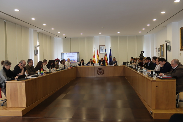 Ple ordinari del 27 de febrer de 2025
