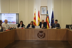 Ple ordinari del 27 de febrer de 2025_1