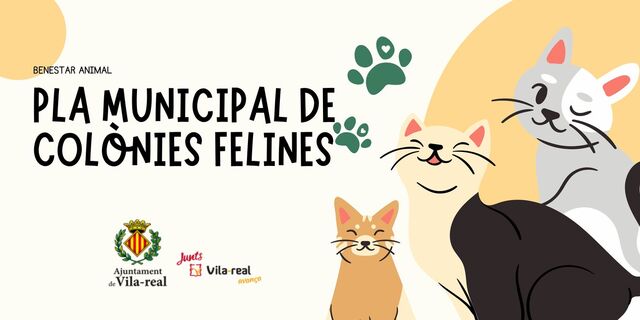 Vila-real compta amb un Pla municipal de colnies felines