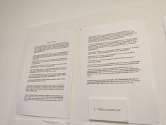 Premio del p�blico, de Balma Agust� G�mez