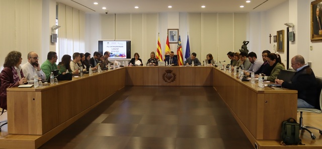 Pleno extraordinario del 9 de abril de 2025