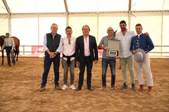 II Concurs de Cavalls de Pura Raa Espanyola_1