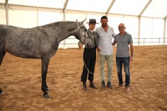 II Concurs de Cavalls de Pura Raa Espanyola_2