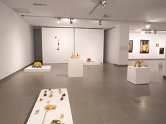 Dia Internacional dels Museus, 18 de maig_8