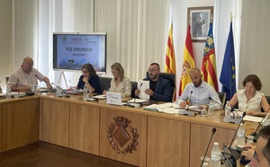 Imagen de la sesin plenaria de junio.