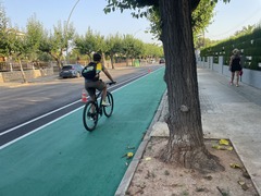 El carril bici ya est� pr�cticamente reacondicionado.