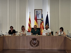 Imagen del Pleno de agosto.