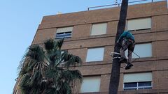 Las labores se realizan por parte de profesionales especialistas.
