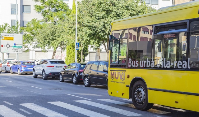 'Groguet' cumple este mes de noviembre siete a�os de vida.