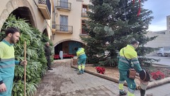 Un jard�n ef�mero y el pesebre completan la decoraci�.