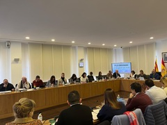 Imagen del pleno de enero.