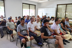 S'incorporen 27 persones, entre capatassos i peons.
