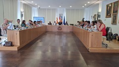 Cultura, ordenanzas, gesti�n de residuos o ayudas al comercio, entre los temas tratados.