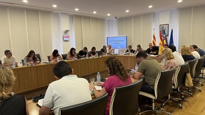 Imagen de la sesi�n plenaria extraordinaria y urgente.