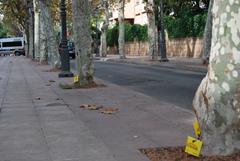 Vila-real posar banderetes on hi haja una caca de gos per a conscienciar els vens amb una campanya impactant