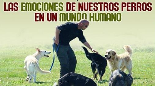 Vila-real impulsa el registro de animales domsticos con un nuevo curso de sensibilizacin para propietarios de perros