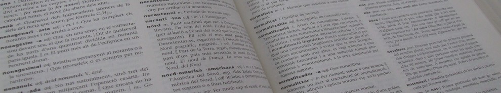rea Normalitzaci Lingstica