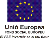 Logo FSE